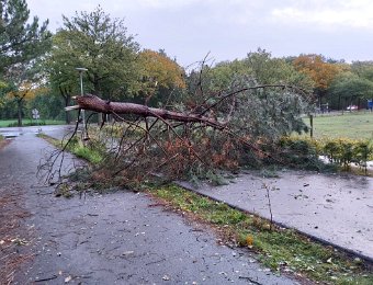 211021 Stormschade OLVT Duinenlaan