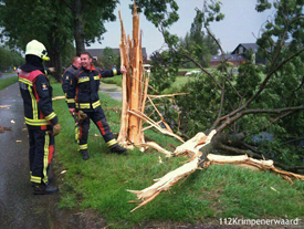 blikseminslag_boom