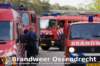 img_7704copy_small.jpg