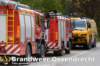img_7709copy_small.jpg