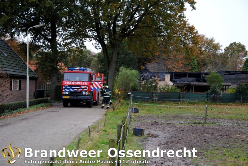 ossendrecht11112010066_edit.jpg
