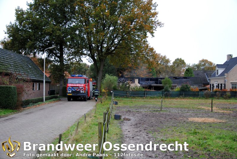 ossendrecht11112010067_edit.jpg
