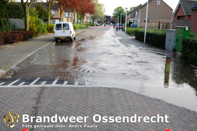 ossendrecht27042010003copy.jpg