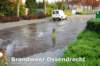 ossendrecht27042010006copy_small.jpg
