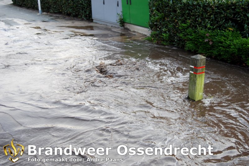 ossendrecht27042010008copy.jpg