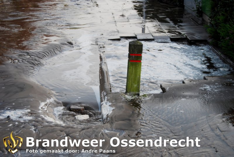 ossendrecht27042010011copy.jpg