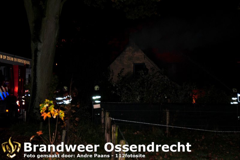 ossendrecht11112010013_edit.jpg