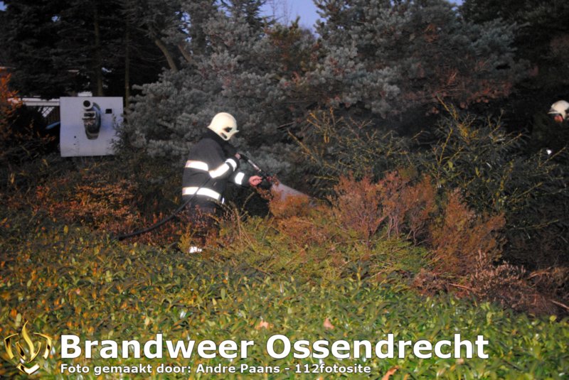 ossendrecht08022011003copy.jpg