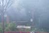 dsc01869_small.jpg