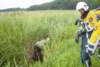 dsc01709_large_small.jpg