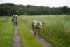 dsc01711_large_small.jpg
