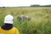 dsc01714_large_small.jpg
