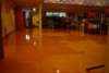 dsc01717_large_small.jpg