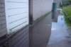 dsc01737_large_small.jpg